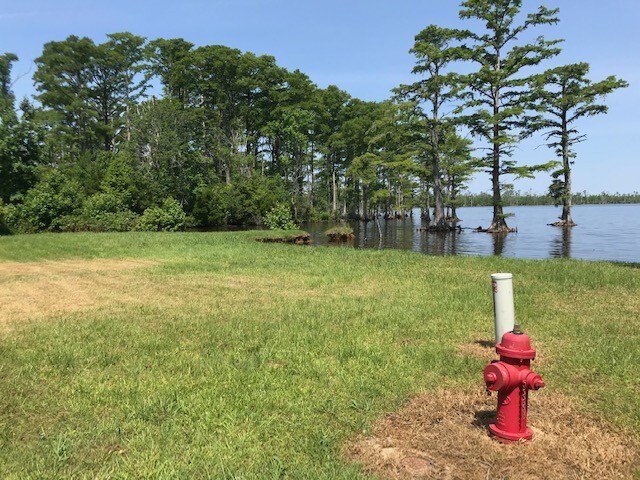 View Photo