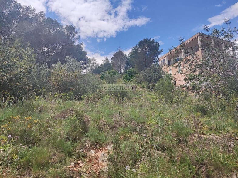 Terrain dans València, Valencia à vendre - Photo principale – Image 2 sur 12
