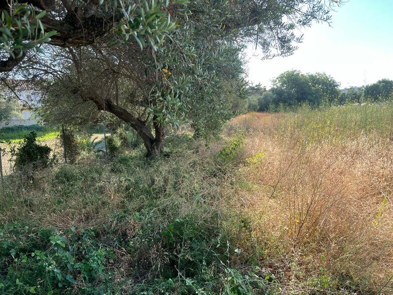 Terrain dans Cambrils, Tarragona à vendre - Photo de l’immeuble – Image 2 sur 5