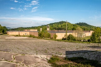 Plus de détails pour 110 One Genesis Way, Spruce Pine, NC - Industriel/Logistique à vendre