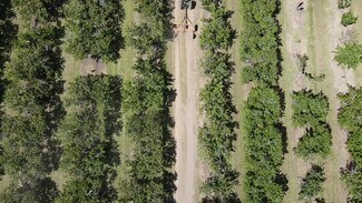 Plus de détails pour 275 Bolsa Rd, Gilroy, CA - Terrain à vendre
