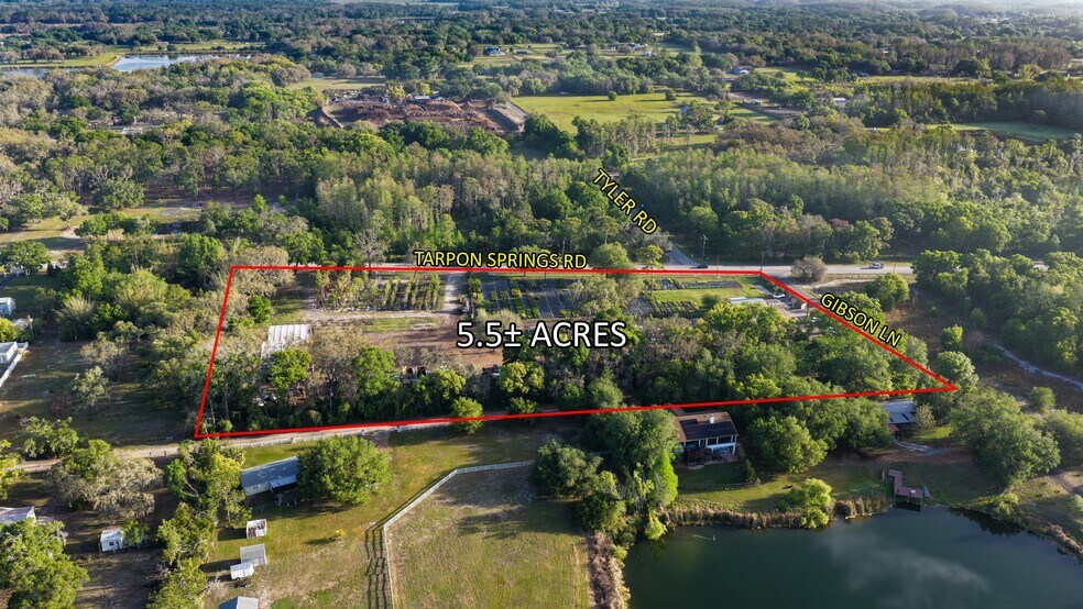 12980 Tarpon Springs Rd, Odessa, FL à vendre - Aérien – Image 3 sur 4