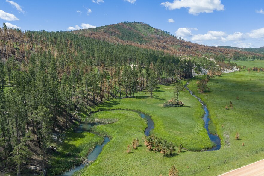 25287 Lower French Creek Rd, Custer, SD à vendre - Photo de l’immeuble – Image 3 sur 19