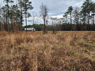 Plus de détails pour 8055 US-17, Vanceboro, NC - Terrain à vendre
