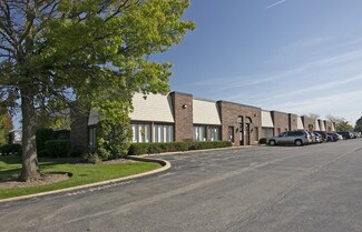 Plus de détails pour 271-285 E Helen Rd, Palatine, IL - Local d’activités à vendre