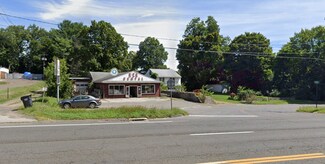 Plus de détails pour 241 Danbury Rd, New Milford, CT - Local commercial à louer