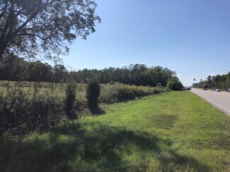 Plus de détails pour US-378 & Wise Ferry Rd, Lexington, SC - Terrain à vendre