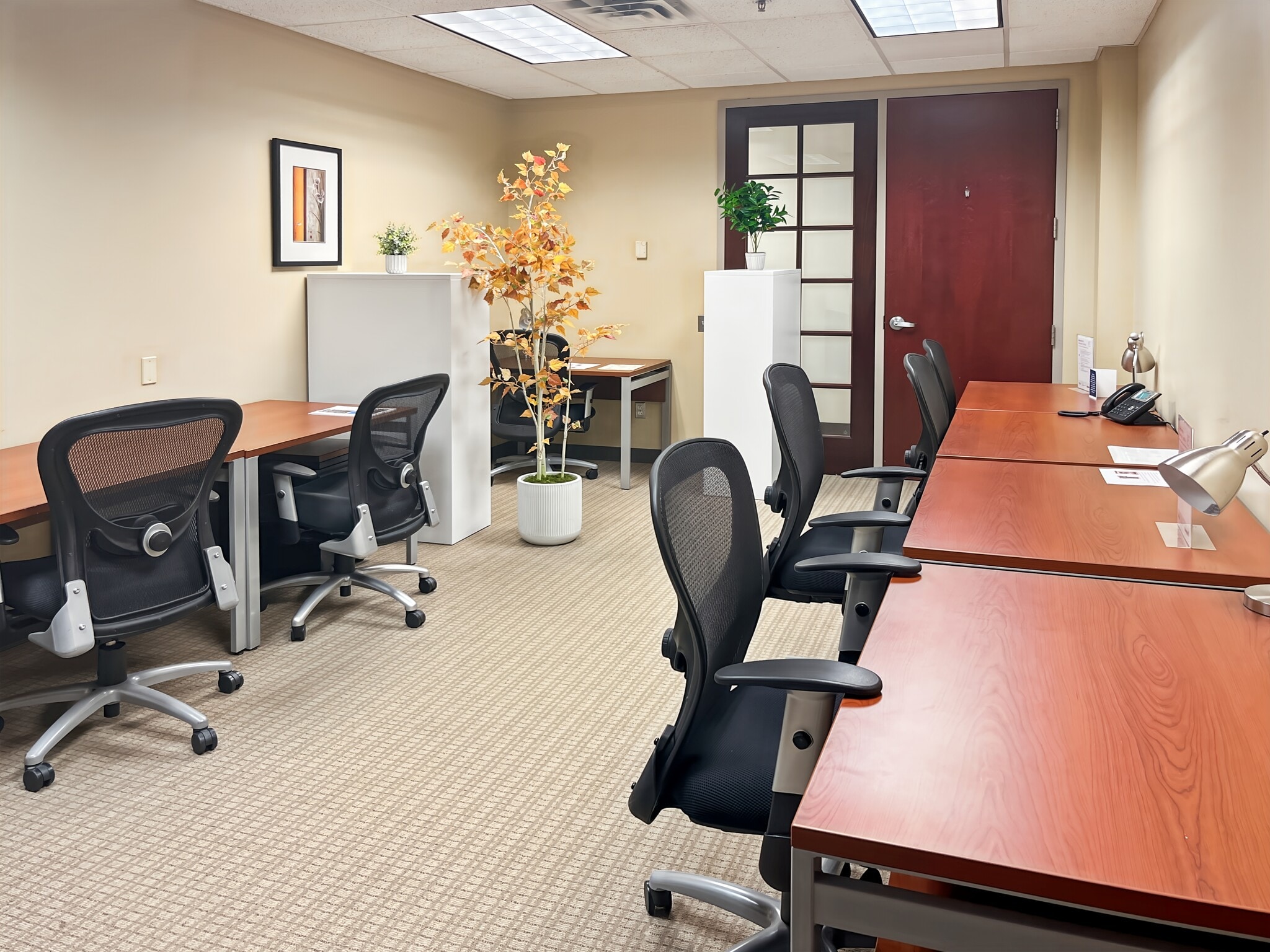 41 University Dr, Newtown, PA à louer Photo intérieure– Image 1 sur 20