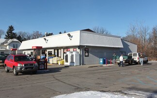 Plus de détails pour 206 W Grand River Ave, Williamston, MI - Local commercial à louer
