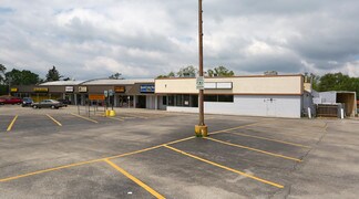 Plus de détails pour 208-214 W Washington St, Round Lake, IL - Local commercial à louer