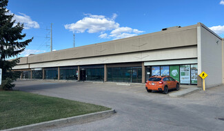 Plus de détails pour 10441-10459 172 St NW, Edmonton, AB - Local d'activités à louer