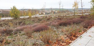 Plus de détails pour Terrain à louer