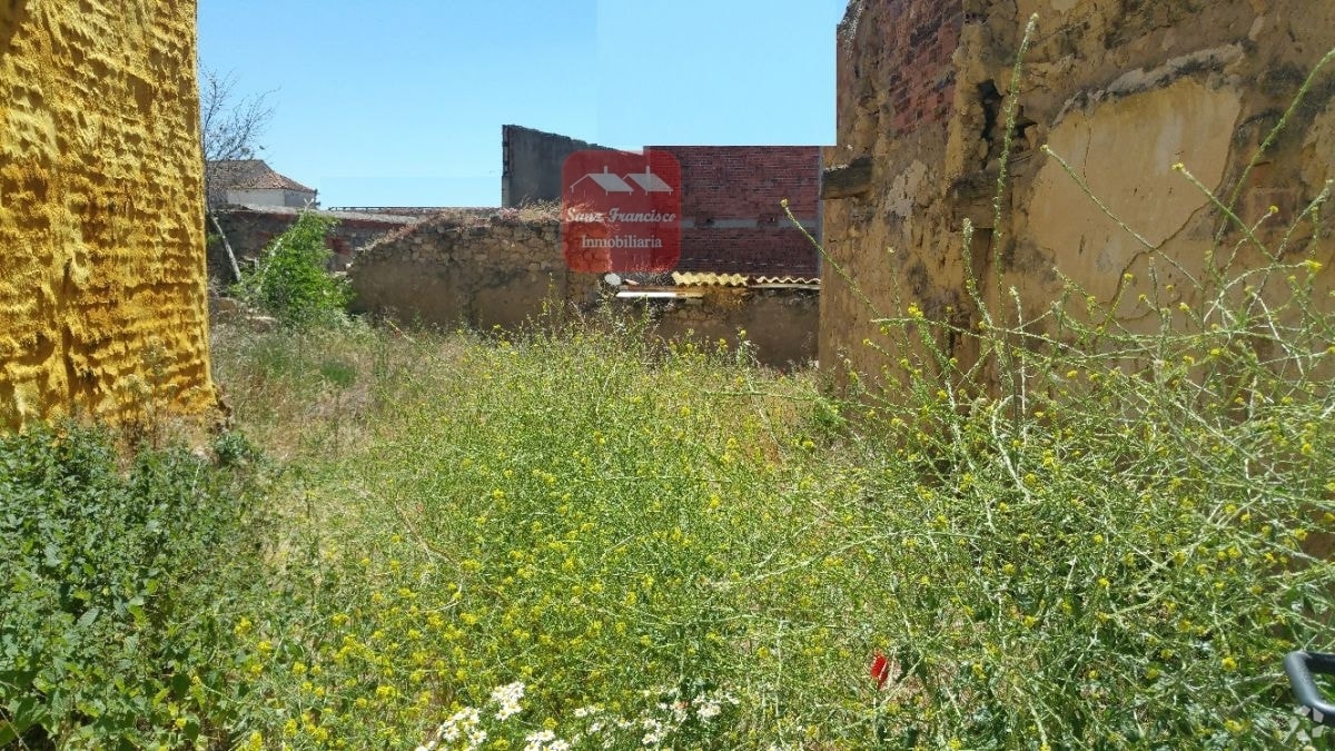 Photo principale