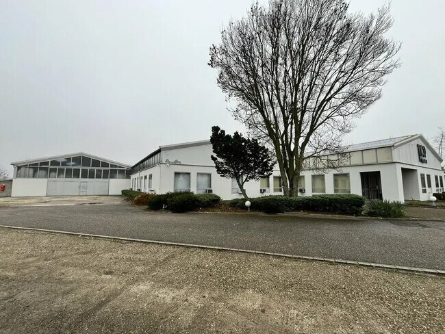 Plus de détails pour 12 Allee De L'Europe, Entzheim - Local d’activités à vendre