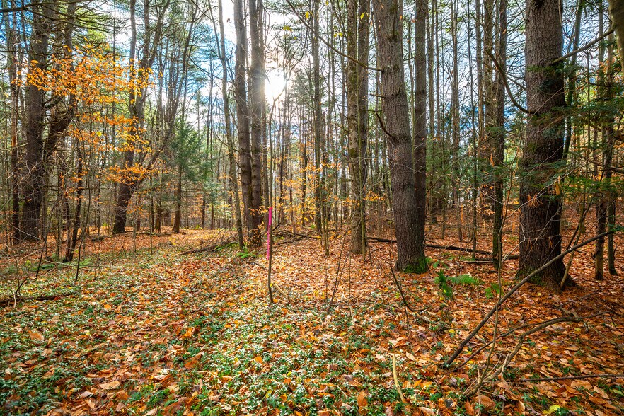 40 E Putney Brook Rd, Putney, VT à vendre - Photo intérieure – Image 2 sur 31