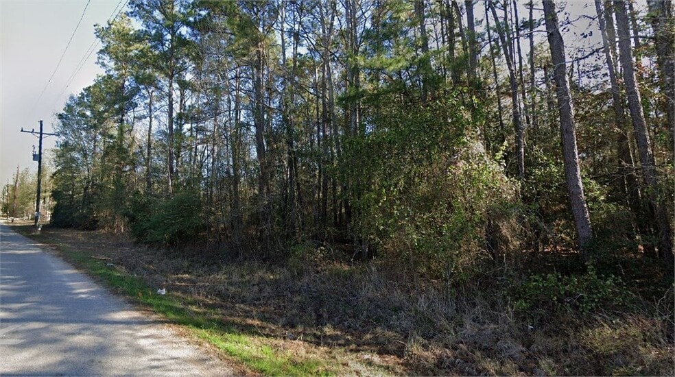 Coon Hollow Road Rd, Conroe, TX à vendre - Aérien – Image 2 sur 2