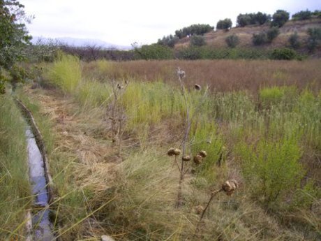 Terrain dans Calasparra, Murcia à vendre - Plan de site – Image 3 sur 12