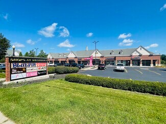 Plus de détails pour 4313-4379 E Grand River Ave, Howell, MI - Local commercial à louer