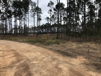 Plus de détails pour 11900 Seven Coves Rd, Willis, TX - Terrain à vendre