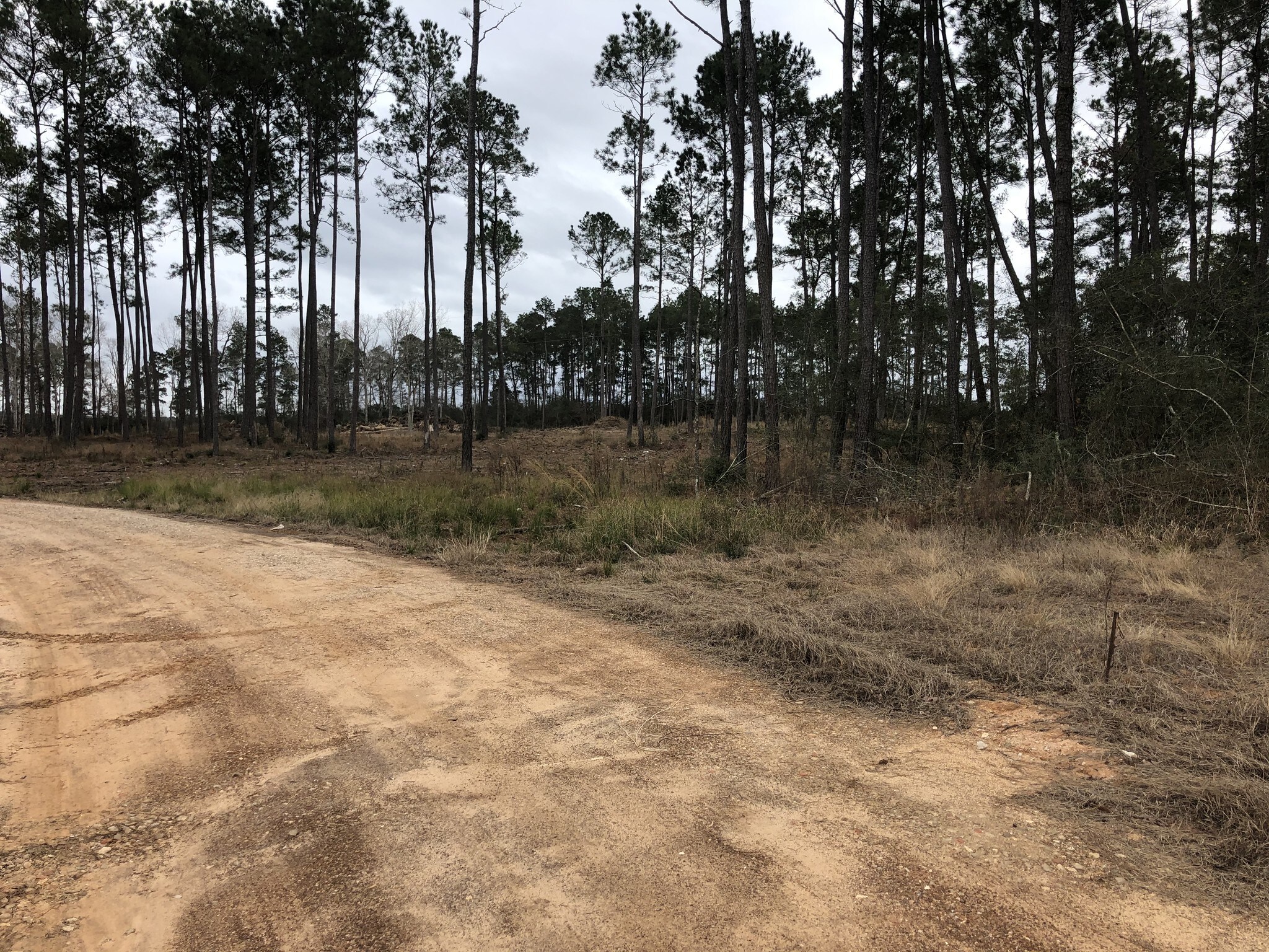 11900 Seven Coves Rd, Willis, TX à vendre Autre– Image 1 sur 11