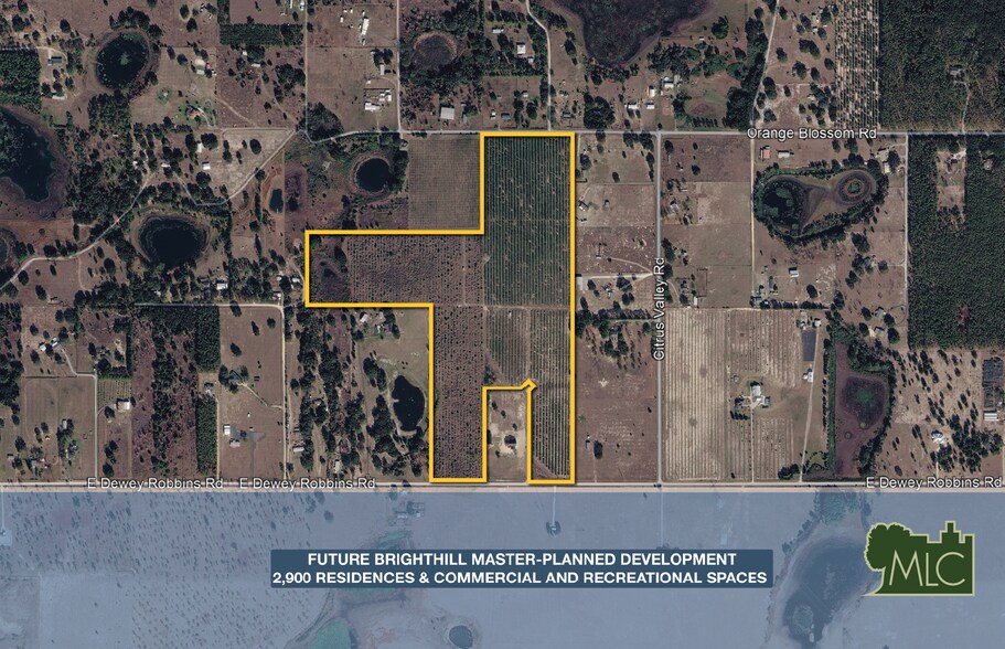 8923 Dewey Robbins Road, Howey in the Hills, FL à vendre - Photo principale – Image 1 sur 3