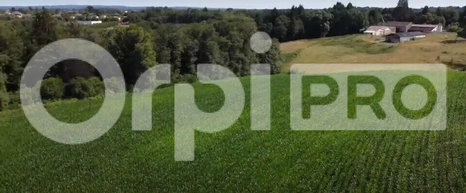 Industriel/Logistique dans Limoges à vendre - Photo de l’immeuble – Image 3 sur 14