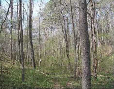0 Jonesboro Rd, Fairburn, GA à vendre - Autre – Image 2 sur 2
