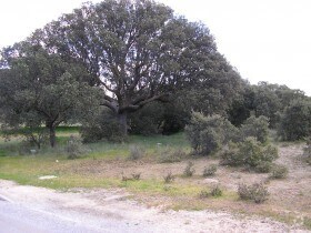 Terrain dans Maello, Ávila à vendre - Photo de l’immeuble – Image 3 sur 3