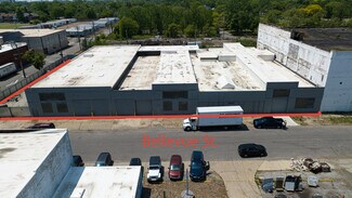 Plus de détails pour 5143 Bellevue St, Detroit, MI - Industriel/Logistique à vendre