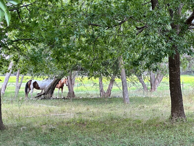 4650 US-183, Liberty Hill, TX à vendre - Photo de l’immeuble – Image 3 sur 13