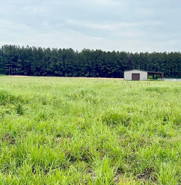 10776 Paesano Point Rd, Saint Francisville, LA à vendre - Photo principale – Image 1 sur 7