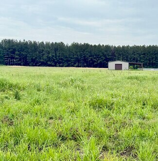 Plus de détails pour 10776 Paesano Point Rd, Saint Francisville, LA - Terrain à vendre