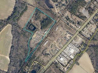 Plus de détails pour 12139 Highway 301 S, Statesboro, GA - Terrain à vendre