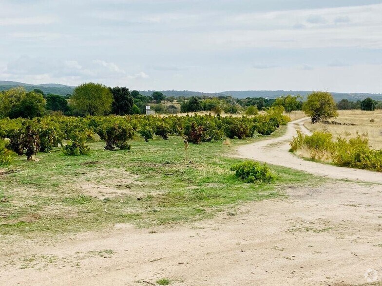 Terrain dans San Martín de Valdeiglesias, Madrid à vendre - Photo de l’immeuble – Image 2 sur 7