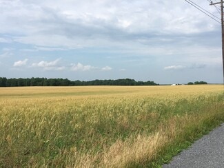 Plus de détails pour 11670 Carroll Clark Rd, Massey, MD - Terrain à vendre