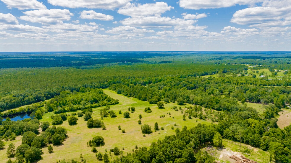 0 Red Feather Dr, Seminole, AL à vendre - Aérien – Image 2 sur 8