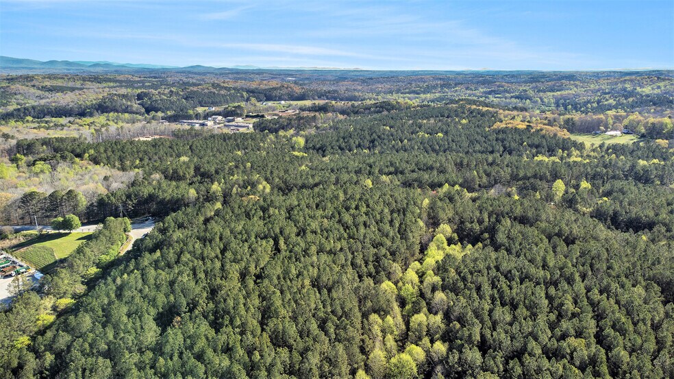 13450 East Cherokee Drive, Ball Ground, GA à vendre - Aérien – Image 2 sur 12