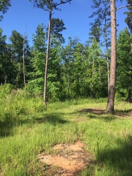 9139 Veterans Parkway, Fortson, GA à vendre - Photo de l’immeuble – Image 2 sur 6