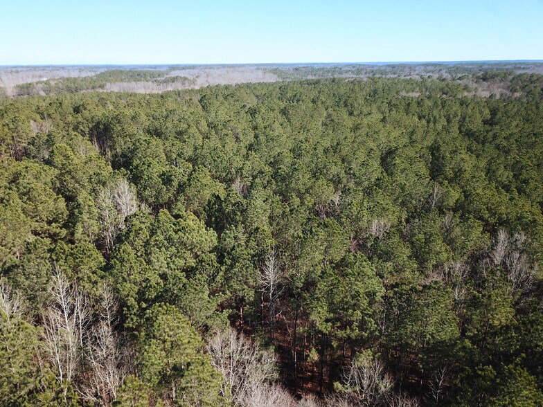 County Road 4141, New Site, MS à vendre - Aérien – Image 2 sur 3