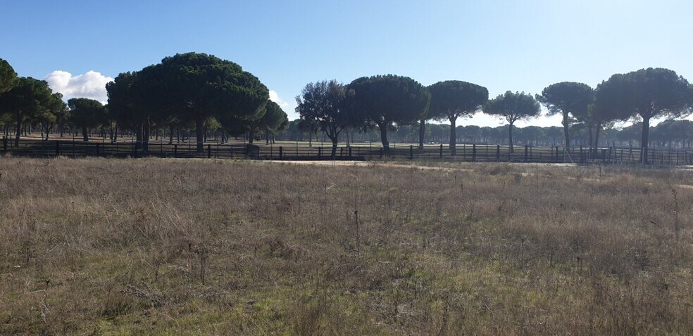 Terrain dans Aldeamayor de San Martín, Valladolid à vendre - Photo principale – Image 1 sur 25