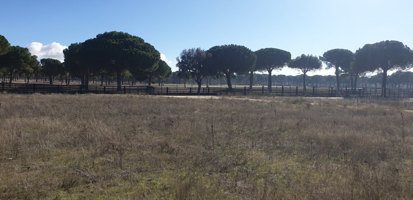 Terrain dans Aldeamayor de San Martín, Valladolid à vendre Photo principale– Image 1 sur 26