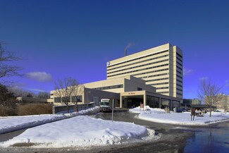 Plus de détails pour 2863 Ellesmere Rd, Toronto, ON - Bureau/Médical à louer