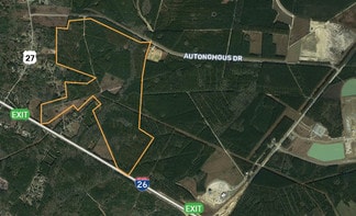 Plus de détails pour Autonomous Dr, Ridgeville, SC - Terrain à vendre