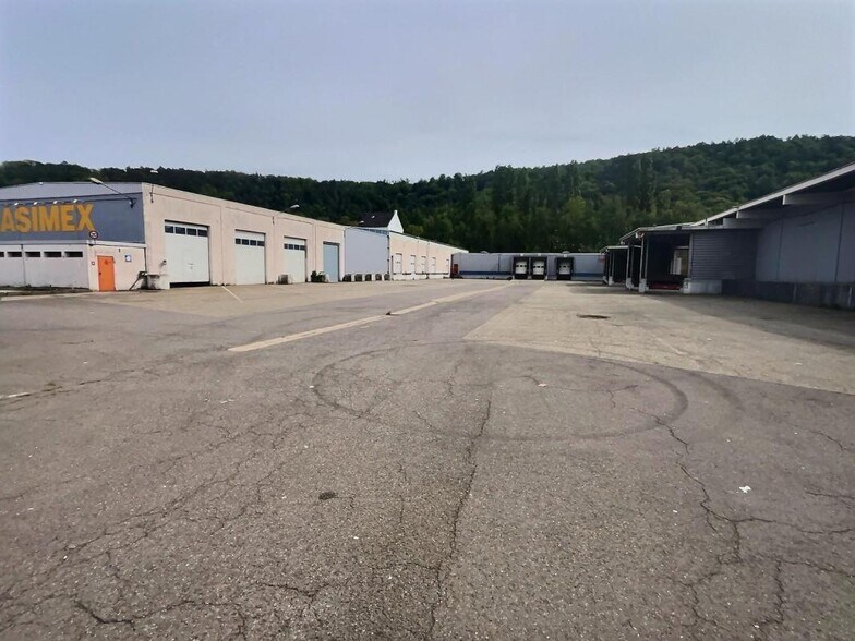 Industriel/Logistique dans Stiring-Wendel à louer - Photo de l’immeuble – Image 2 sur 12