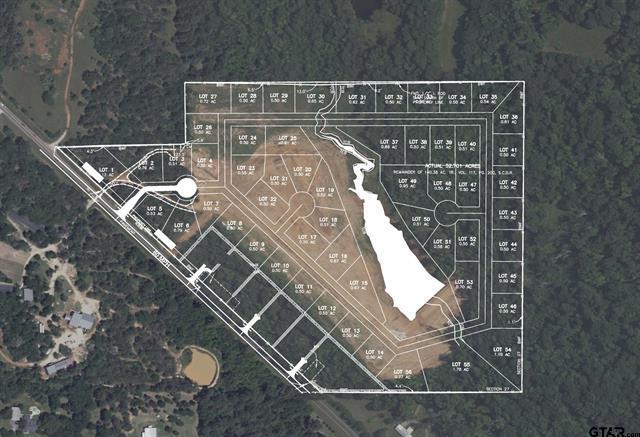 14013 FM 2868, Flint, TX à vendre - Plan cadastral – Image 2 sur 6