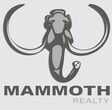 Mammoth Realty, Llc