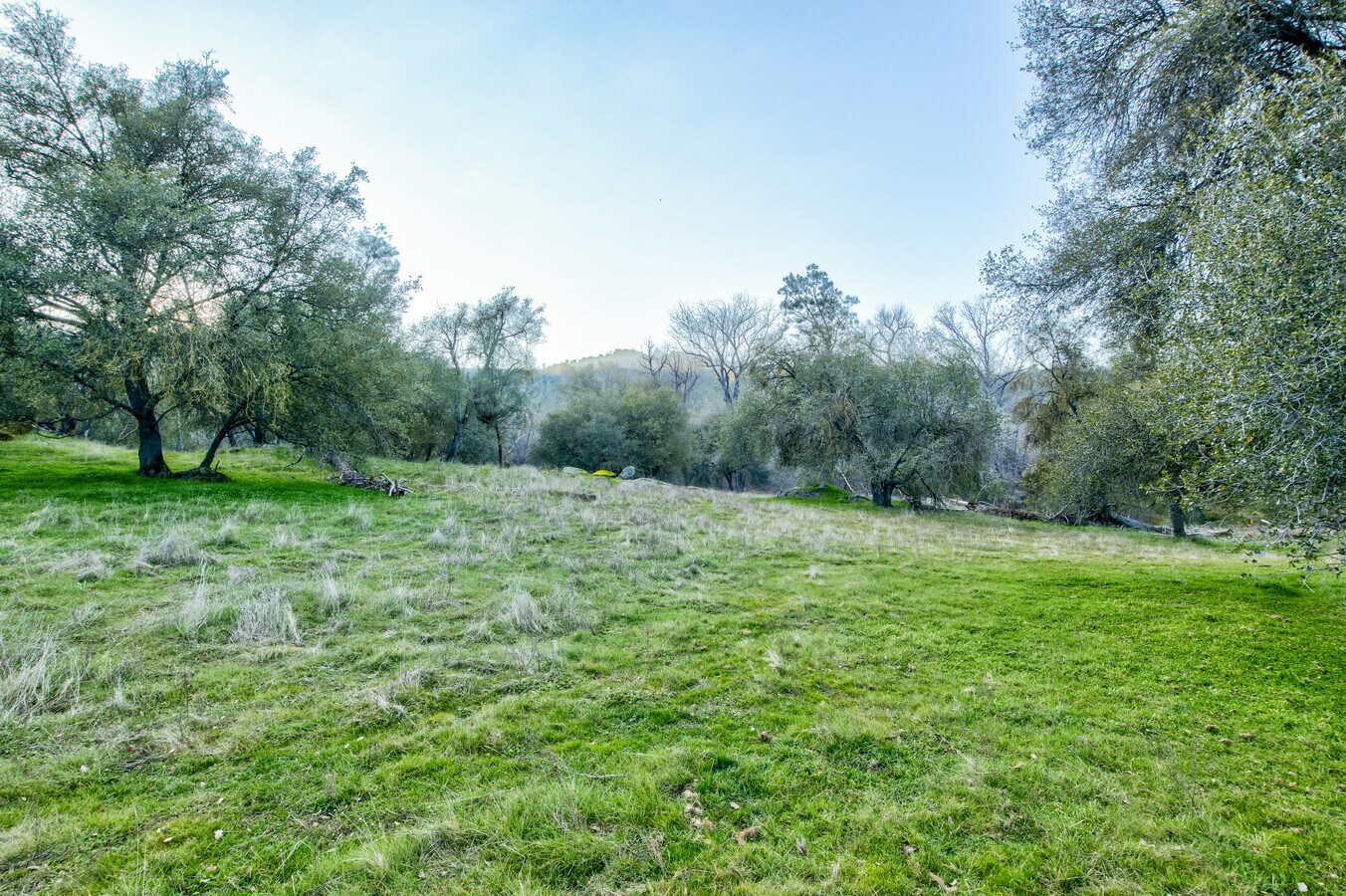 View Photo
