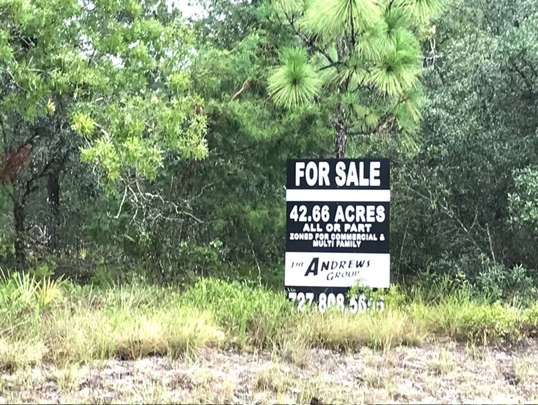 6945 W Ponce De Leon Blvd, Homosassa, FL à vendre - Aérien – Image 2 sur 12