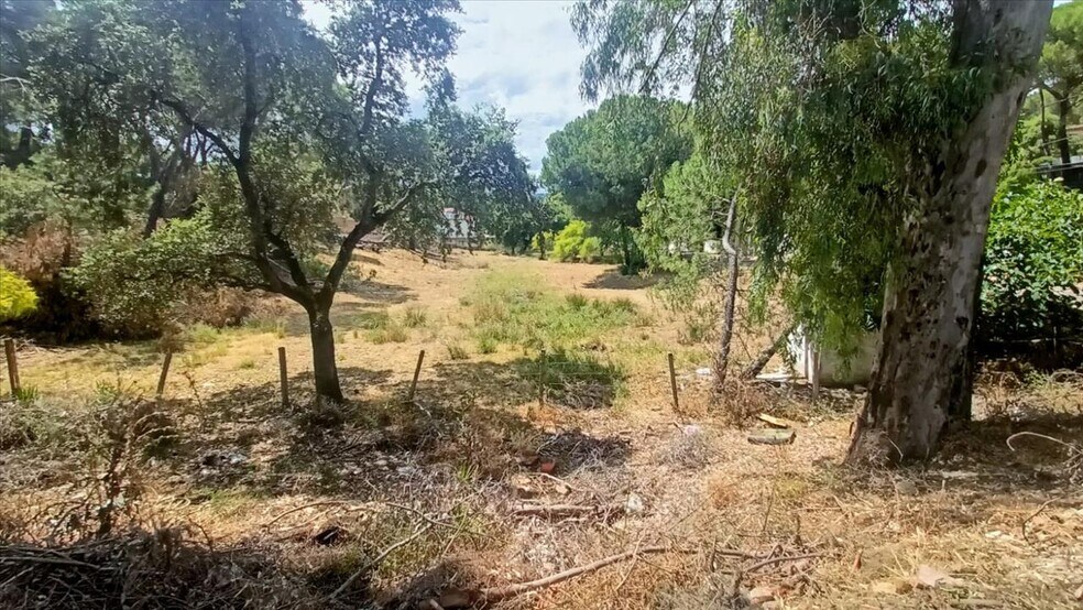 Camino Campamento, Córdoba, Córdoba à vendre - Photo principale – Image 2 sur 31