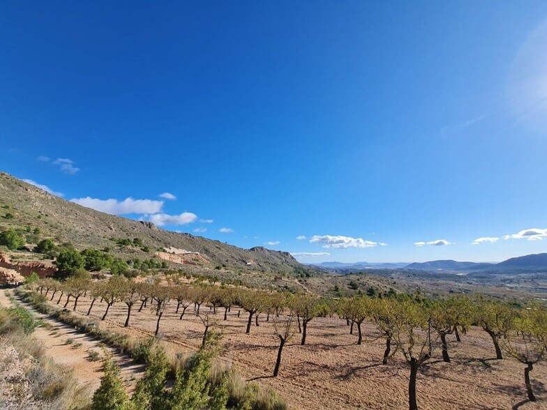 Terrain dans La Romana, Alicante à vendre - Aérien – Image 2 sur 12